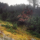 Illustration for article titled Can you spot the camouflaged snipers hiding in these photographs?